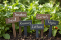 30 Essential Garden Label -  Instant Download PDF